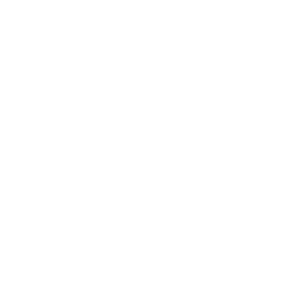 DBS LOGO DEF white